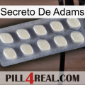 Adams Secret 08